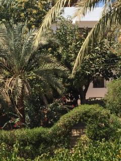 Luxor International Guest House - Luxor - 8