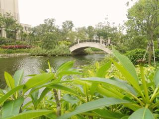 Junluxe Hotel Guangzhou Zengcheng - Zengcheng - 1