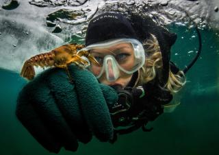 Appartements Herwig Schwarzenbacher - 2