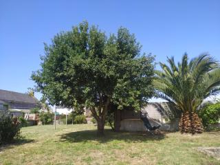 Maison de caractère proche mer 6 lits 2SdB 2wc - 7