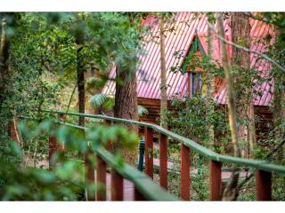 The Mouses House Rainforest Retreat - Springbrook - 1