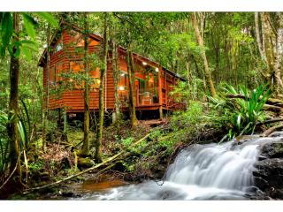 The Mouses House Rainforest Retreat - Springbrook - 0
