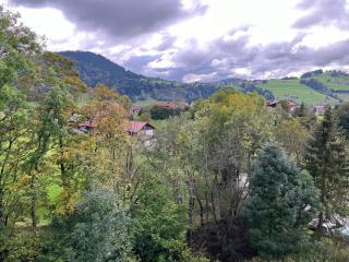 Familienauszeit mit Indoorpool und Sauna - Missen-Wilhams - 9