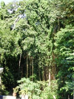 Latugu Homestay Ubud - 7