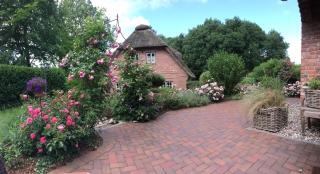 My Little Rose Cottage - Dörpling - 4