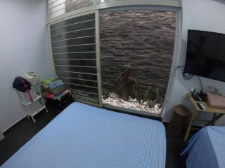 Casa Playa Tortugas - 8