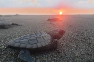 Casa Playa Tortugas - 2