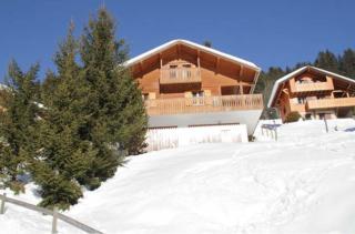 CHALET MORCLAN MCL6 NATURE & VIEW 8 Pers - Châtel - 1