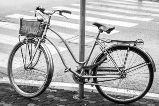 Riverside Moire - spacious & sunny - 3