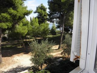 Apartments Monika - Vir - 1