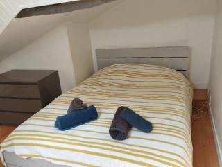 Hypercentre, proche halage et rue principale - 9