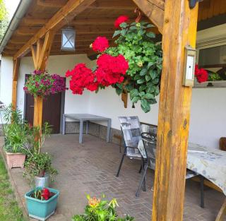 NEU! FeWo einfach Spreewald - - 4