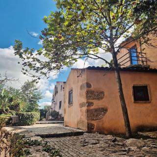Villa Pedra Natural Houses - Alvorge - 9