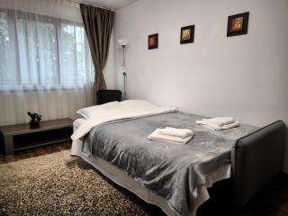 Konstanzer Podu Ros 2 - 3 camere, bucatarie, aer conditionat, masina de spalat - Iaşi - 8