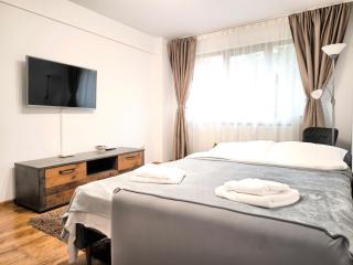 Konstanzer Podu Ros 2 - 3 camere, bucatarie, aer conditionat, masina de spalat - Iaşi - 9