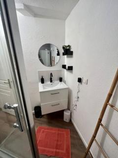 Appartement plein centre-ville - Mulhouse - 4