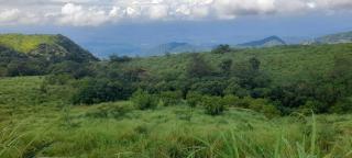 Hill garden homestay,Vagamon - Vagamon - 8