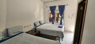 The Avocado Inn - San Pedro Sula - 3