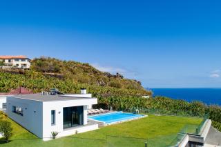 Oak Tree Ocean View - 4