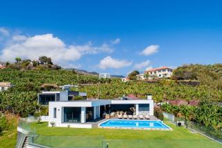 Oak Tree Ocean View - 3