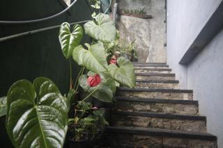 Mount view hotel and home stay - Kandy - 8