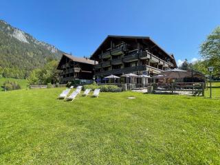 Studio With Mountain View In The Vacation Center - Diemtigen - 5