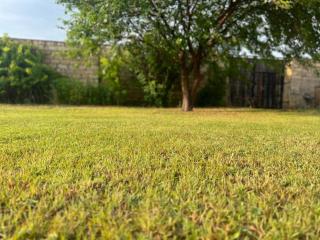 BAKU Resorts Vacation Home - Corat - 6