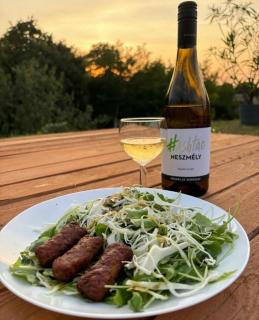 Várhegy apartman - 9