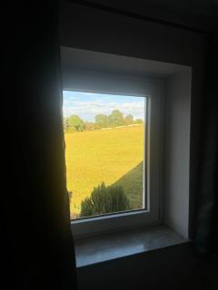 Gemütliches Zimmer im Grünen - Grebenhain - 5