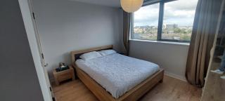 Central Modern 2BD 4Mins to Guinness Storehouse - Dublino - 1