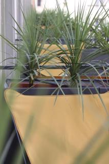 c-hotels Joy - Firenze - 6