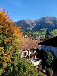 Charmante Wohnung im Dorfkern - Klosters-Serneus - 2