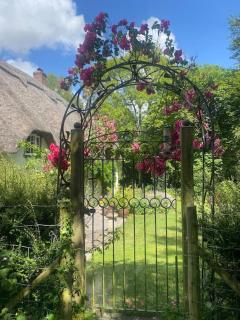 NEW Till Cottage & Riverside Gardens nr Stonehenge - 2