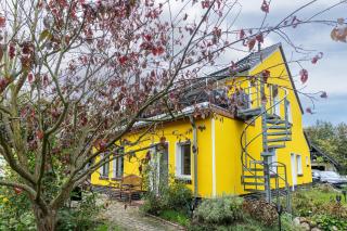 Wohnung am Stadtrand im Grünen - Zeuthen - 0