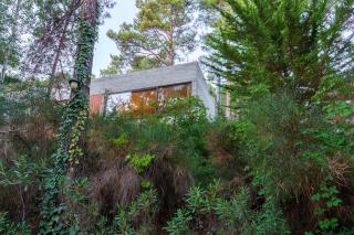 Paradise Peek, Platres - Platres - 8