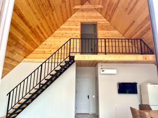 A Frame Villa Gabala - 9