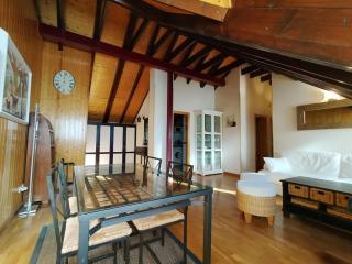 Misalas, Ski y montaña petfriendly - Arafita Apartamentos - Sallent de Gállego - 4