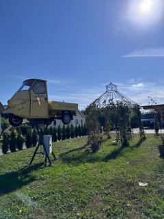 Sorinas Home WB16 Top 10 - 1