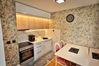 Malisic apartmani Vračar - Vračar (historical) - 4