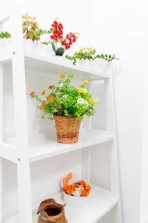 Comfy Apartment Palas Mall View - Iaşi - 5
