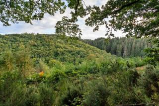 Finest Retreats - Forest Park Lodge - High Bickington - 8