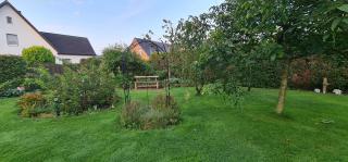 Ferienwohnung Kiefernstraße 1 Mettingen - Mettingen - 6