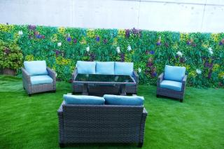 Tranquilidad en Miami - 5