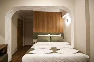 Aurora Eco Hotel - Istanbul - 9