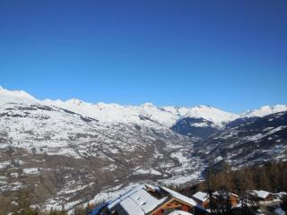 Appt cosy 5 pers à La Plagne, proche pistes, animaux admis - FR-1-353-57 - La Plagne - 3