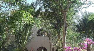Nour El Balad - Luxor - 9