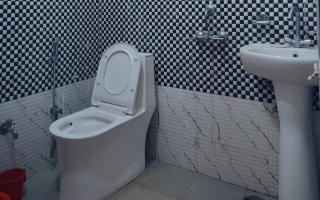 The Gold Bird by StayApart - 1