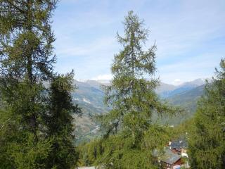 Studio divisible 4 pers. - Balcon, Animaux admis, Pied des pistes, Proches commerces - FR-1-353-74 - La Plagne - 1