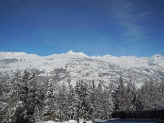 Studio au centre, 4 pers, animaux admis, balcon - FR-1-353-71 - La Plagne - 5