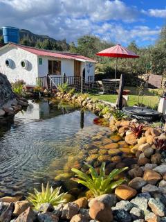 El Alpino Cabaña Glamping & Camping - Guatavita - 6